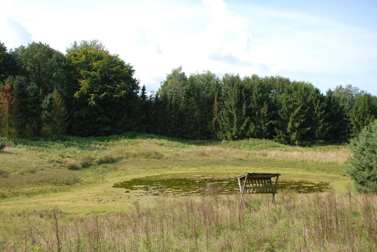 Charmant Chalet Op Een Bospark Op De Veluwe Villa Putten Kültér fotó